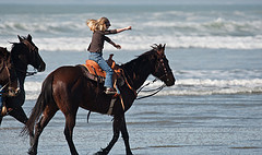 Little girl equestrian riding her horse in the...